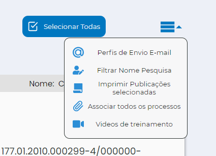 , Nova Interface de Publicações GOJUR