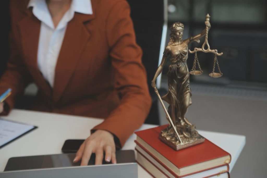 Advogada analisando documentos no computador, representando o Estatuto da Advocacia e da OAB.